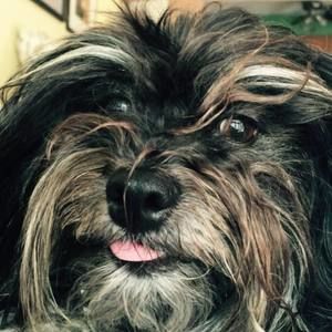 Meet your Posher, Jack